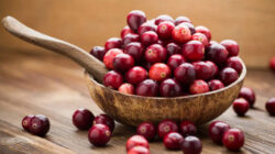 Manfaat Ekstrak Cranberry untuk Kecantikan